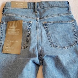 NWT Everlane Cheeky Straight Japanese Denim Jean